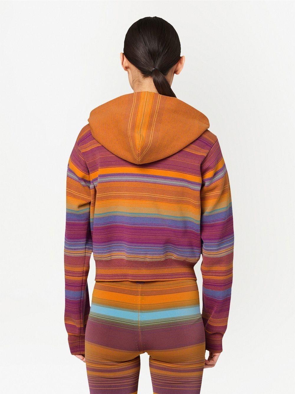 Sudadera rayas The Cropped Zip Hoodie